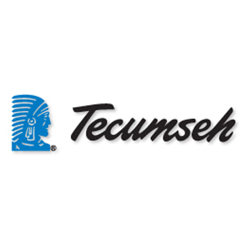 TechumShe